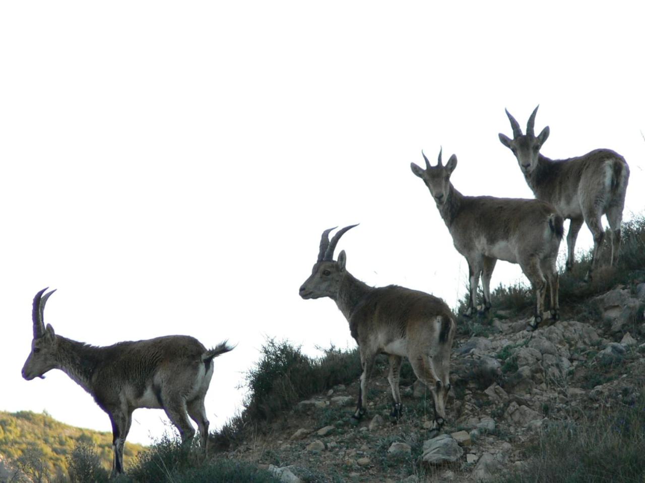 Alojamiento rural Casa Marco Maestrazgo Teruel