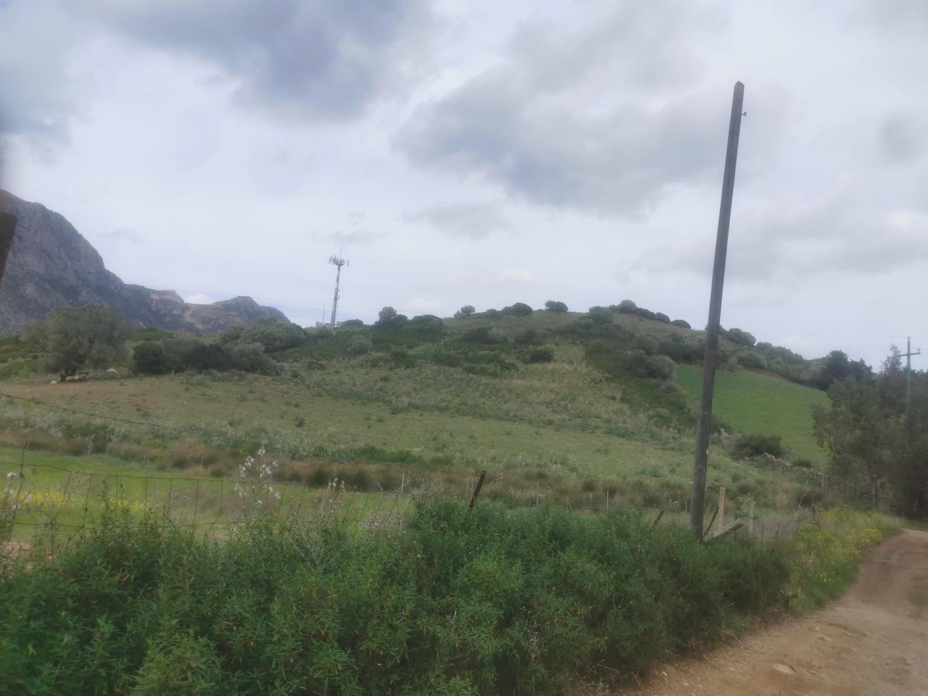 other