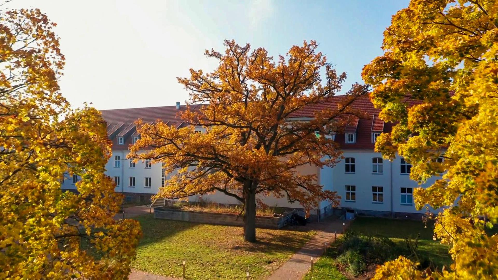 Parkresidenz Lychen, Ferienwohnung 7 - Property Image 30
