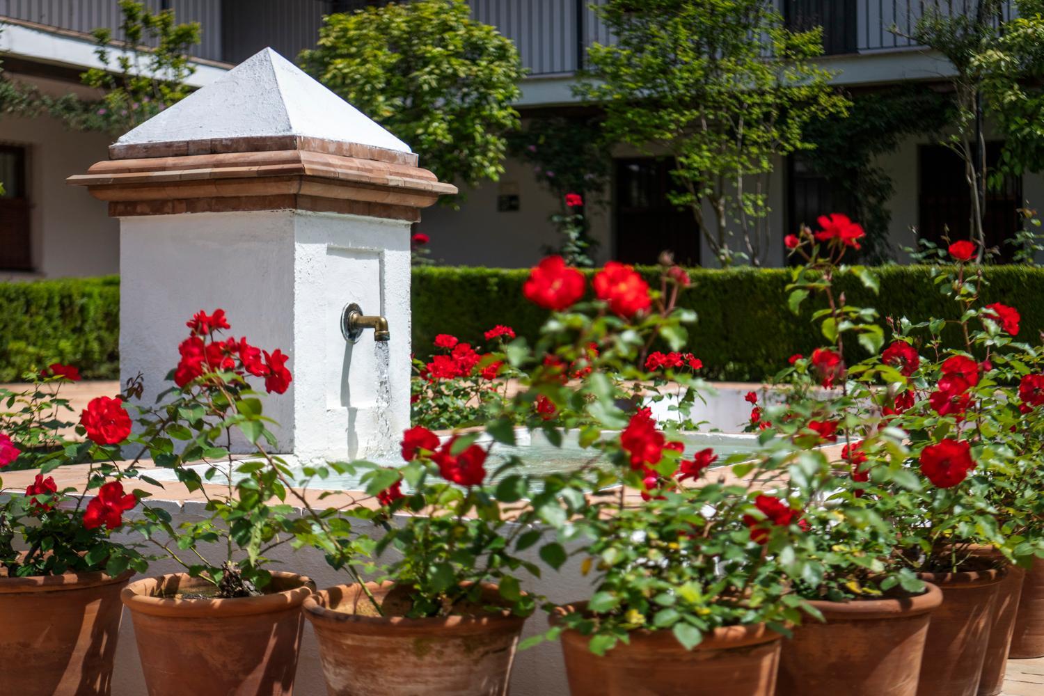 Magno Apartments San Laureano - Private Parking included