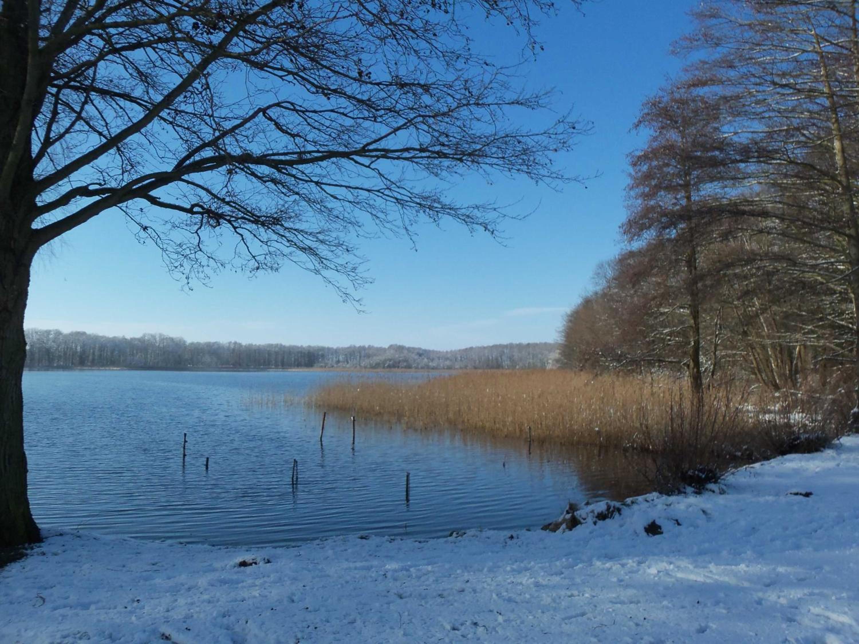 Ferienwohnung am See