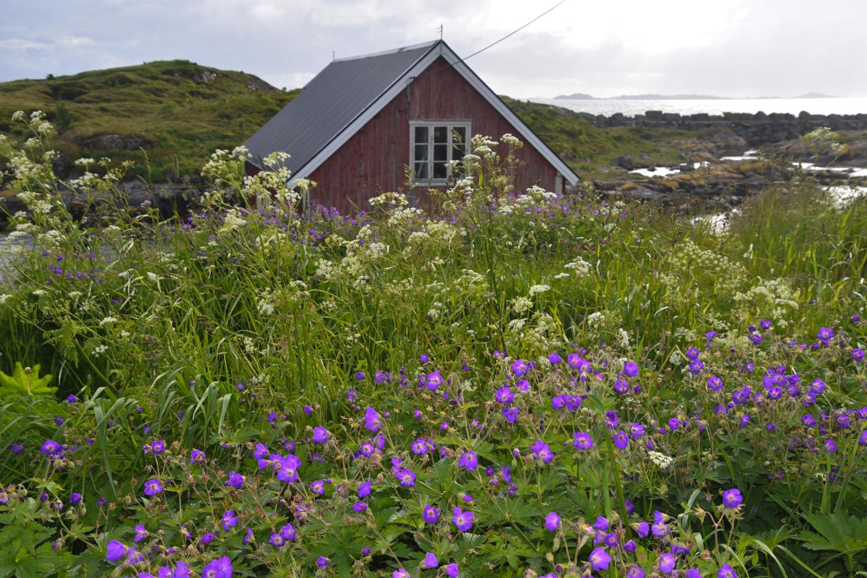 Photo 11