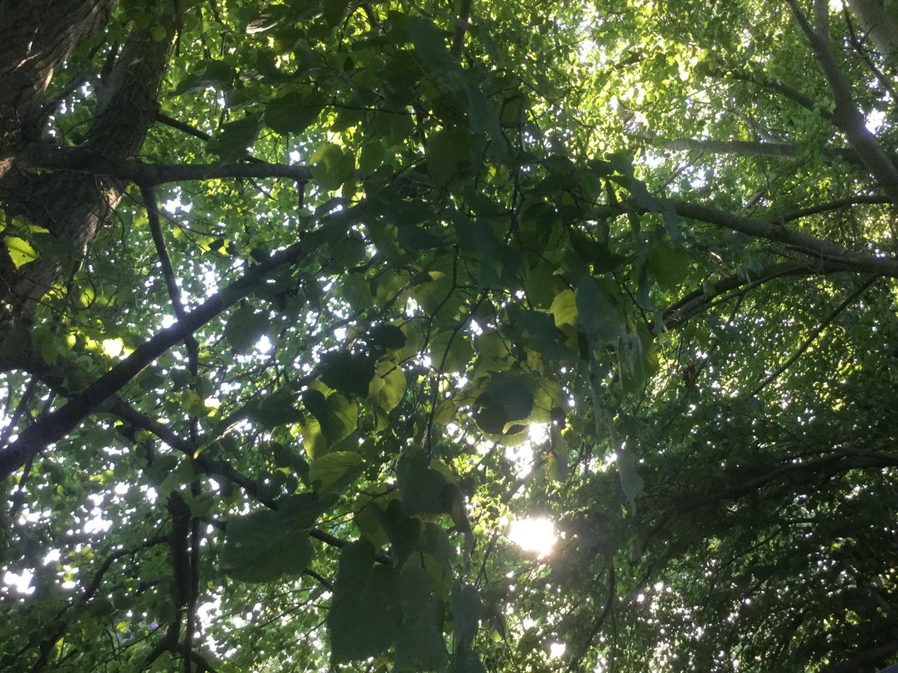 FeWo am Ringkanal
