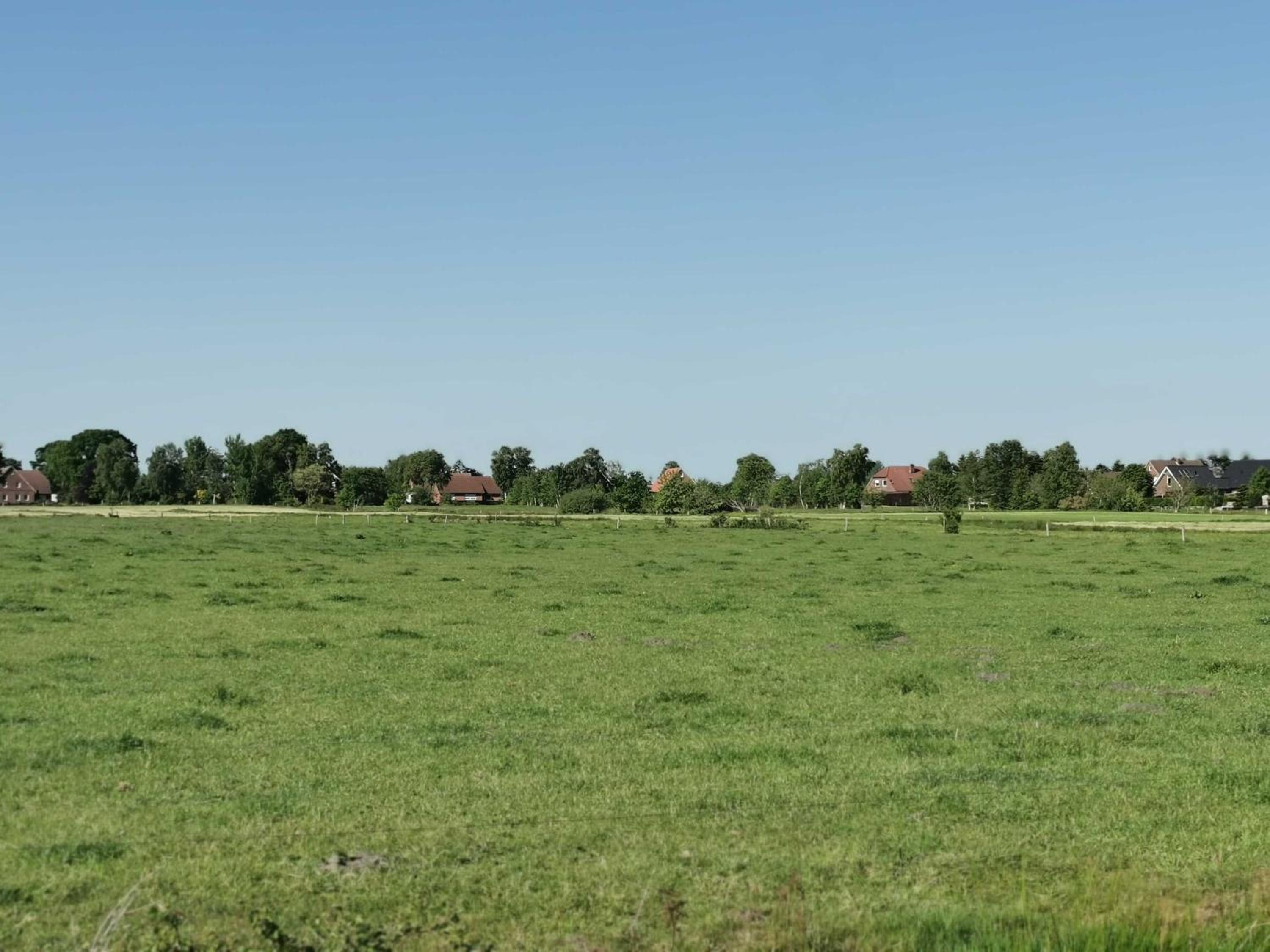 Ferienwohnung Ferienhaus Moorblick