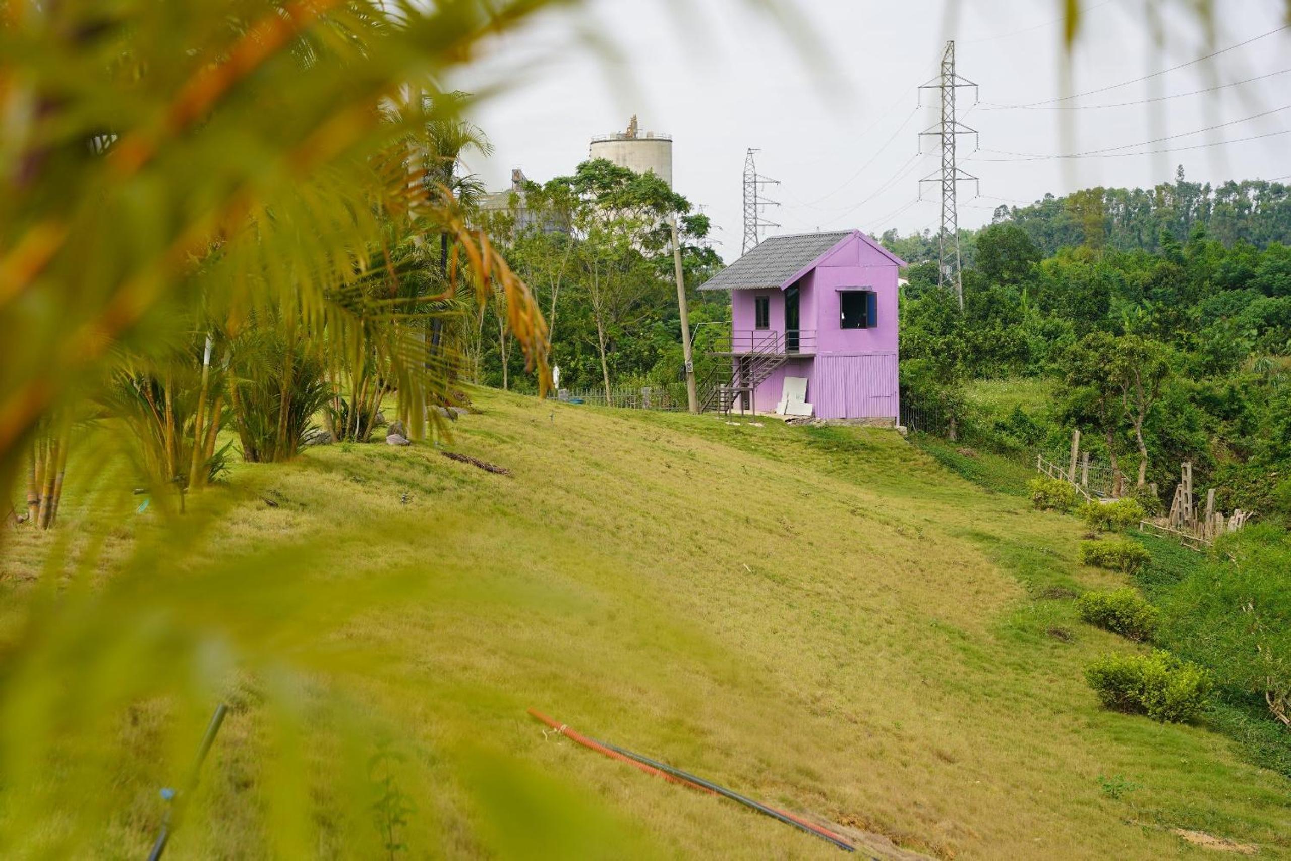 VIOLET VILLA view 5