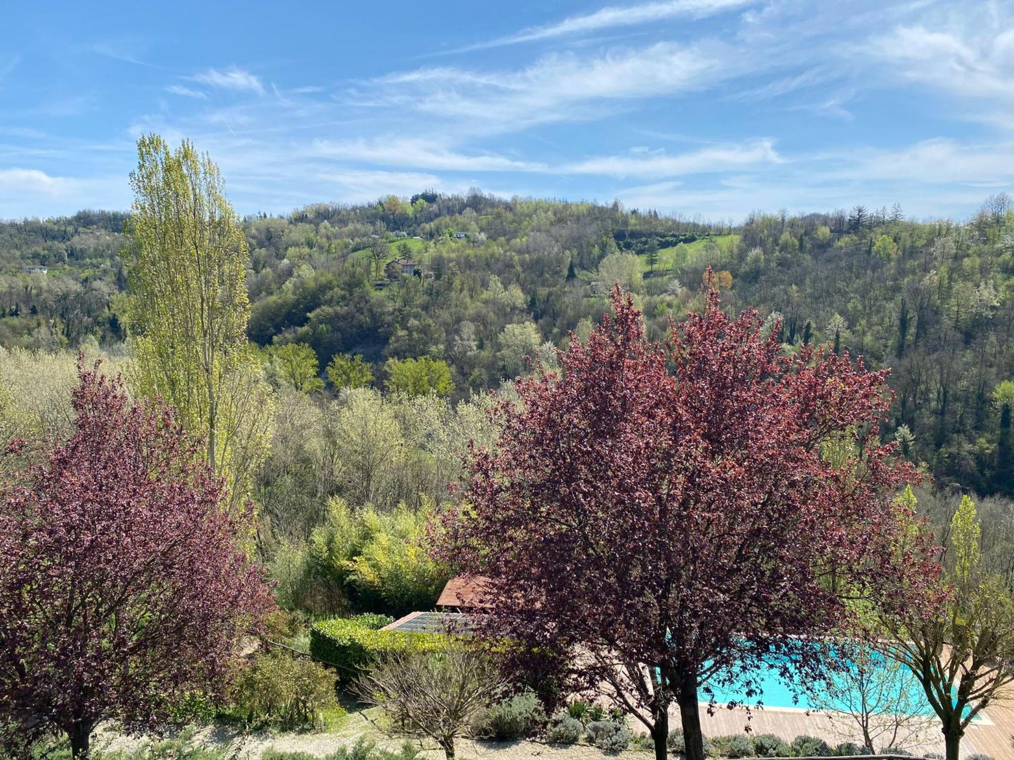 Tenuta Moncarlino