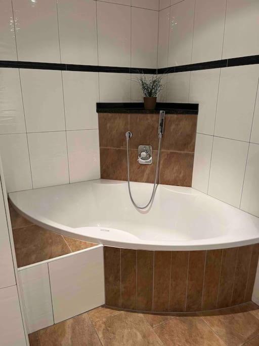 Large 8 Bed Apartment. Perfect Location.