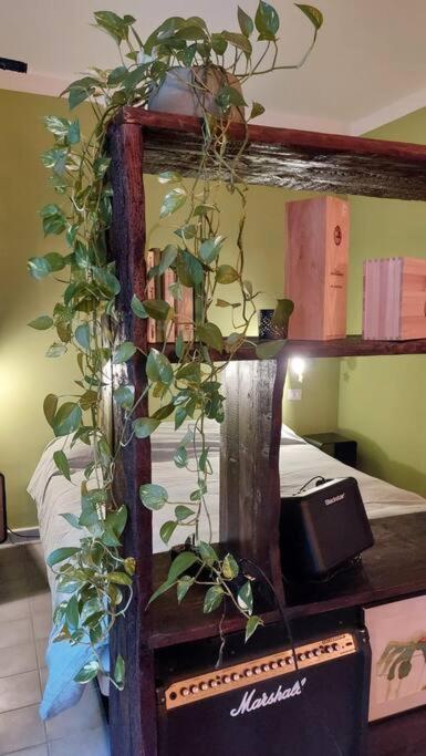 Salotto Monferrato photo 2
