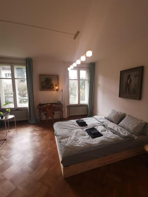 Beautiful central Apartment
