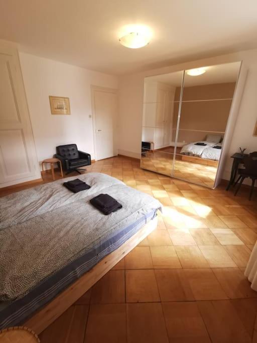 Beautiful central Apartment