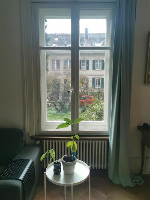 Beautiful central Apartment