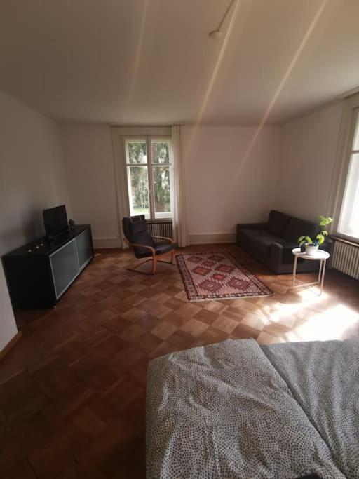 Beautiful central Apartment