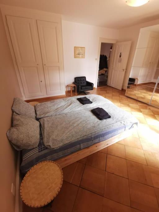 Beautiful central Apartment