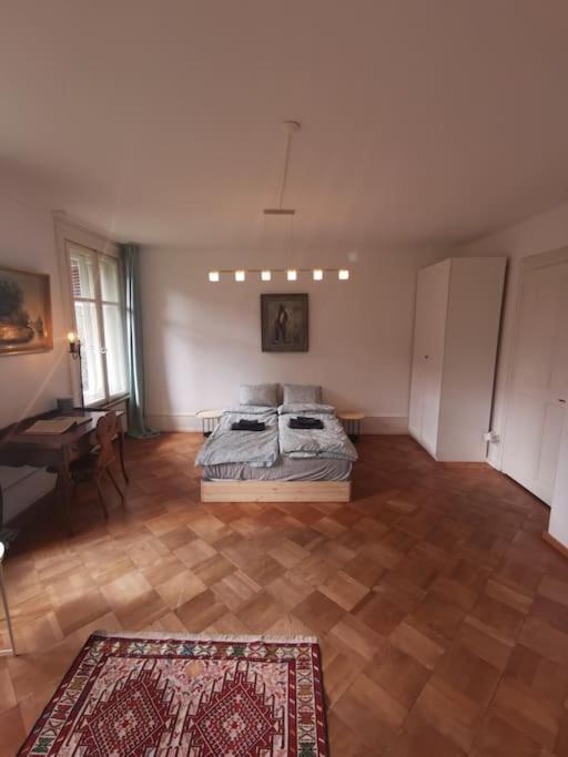 Beautiful central Apartment