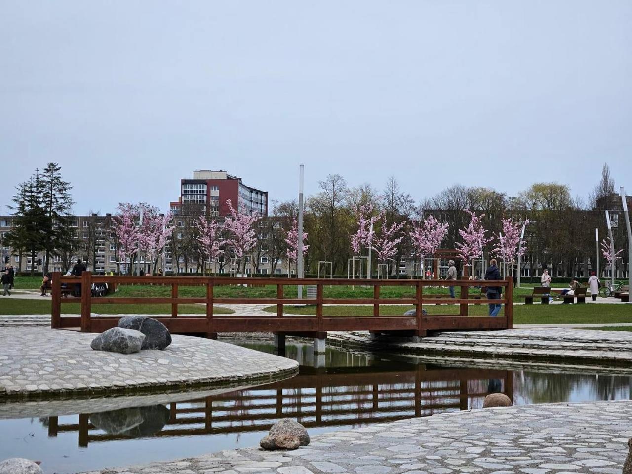 Apartment Klaipėda Smile ღ
