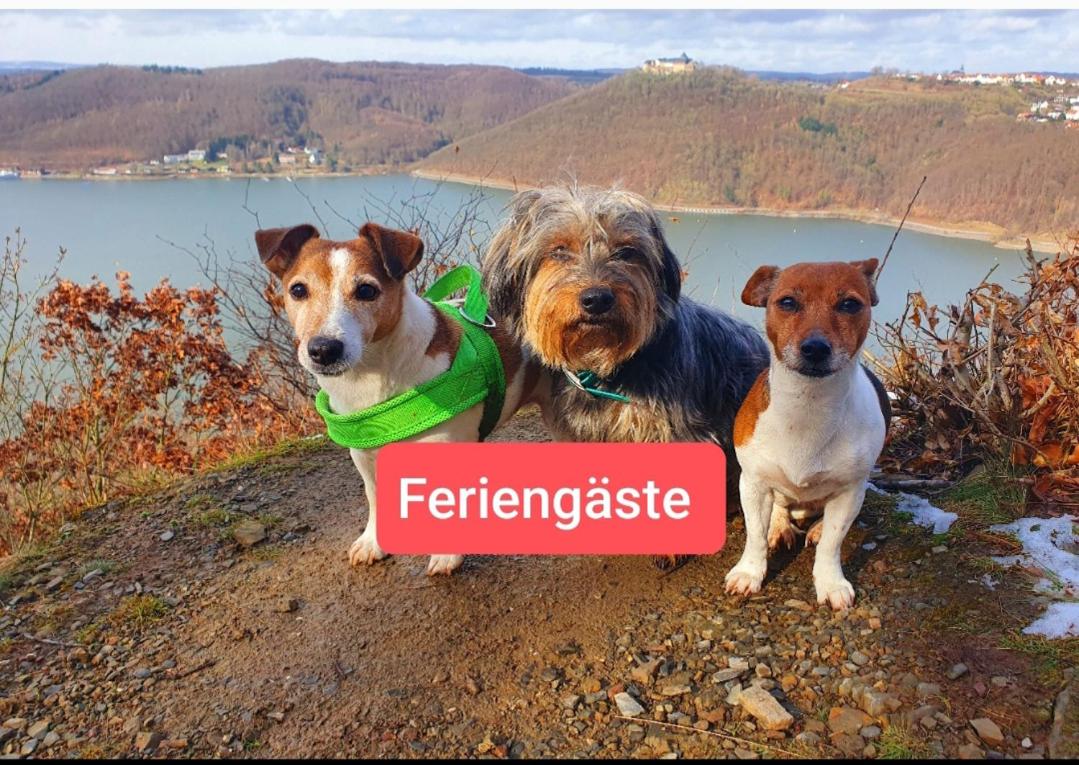 Ferienwohnung zum Märchenwald