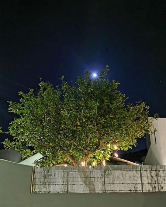 Casadasfurnazinhas