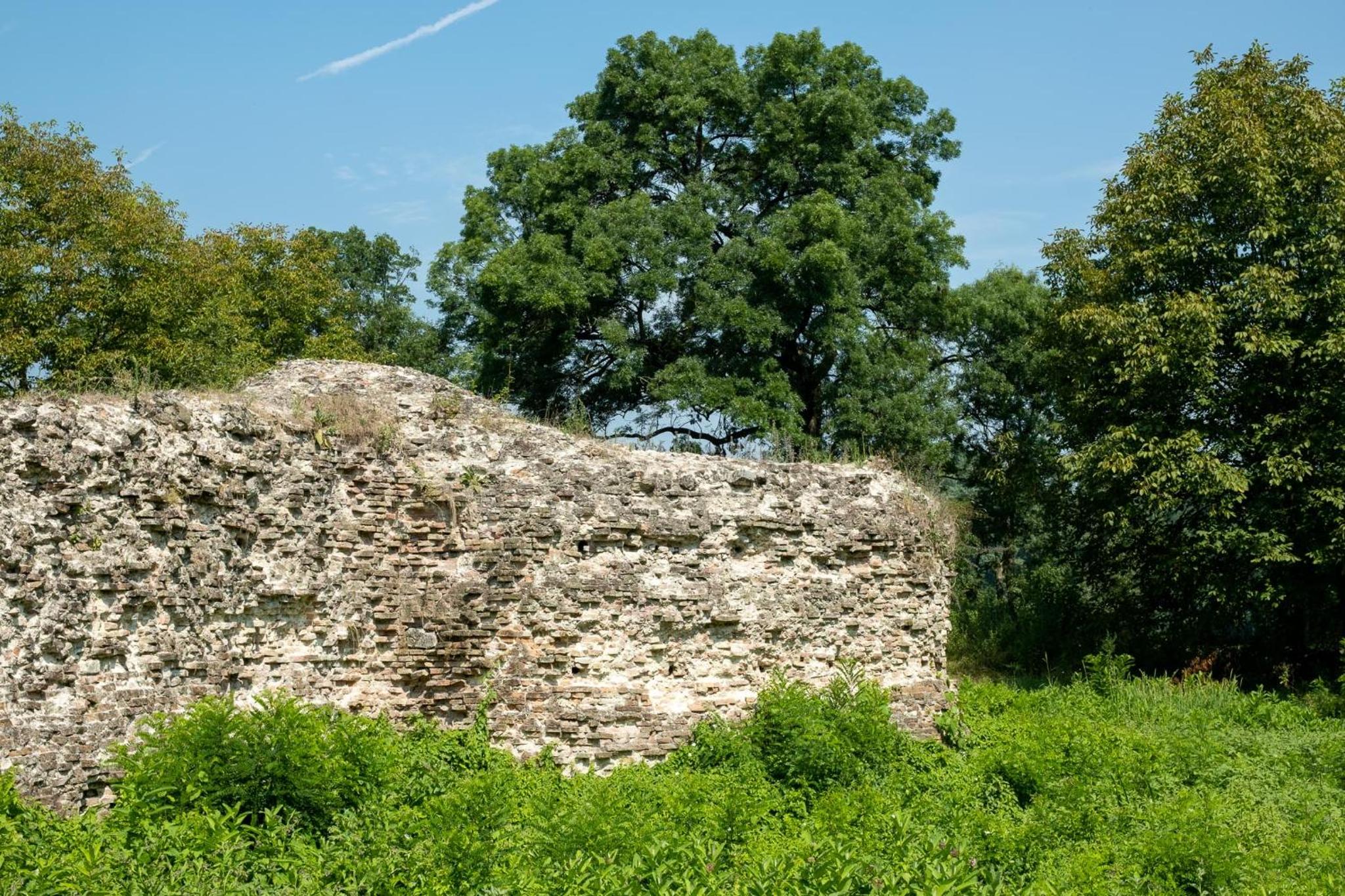 Photo 26