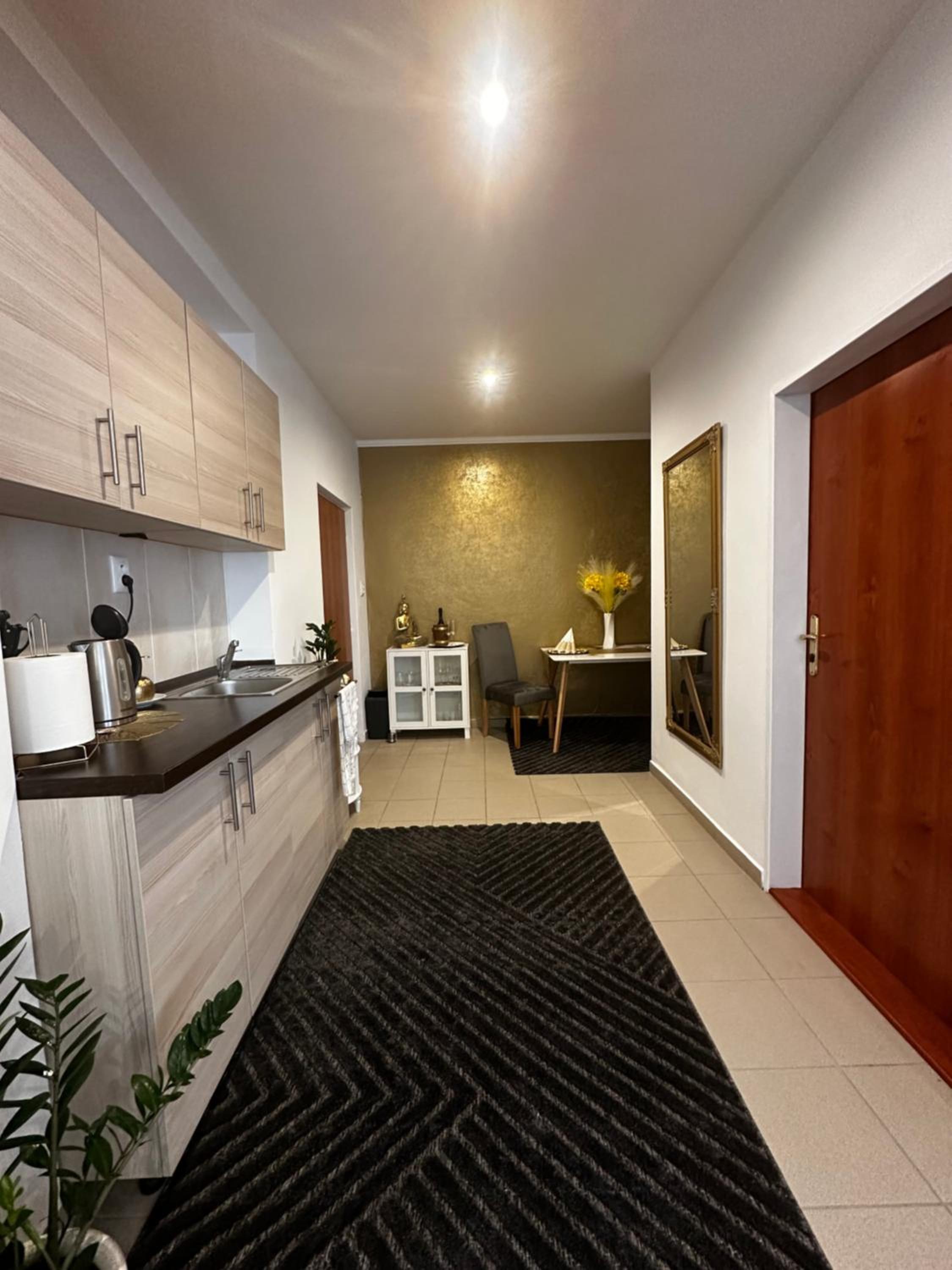 Apartment Reduta Celebration