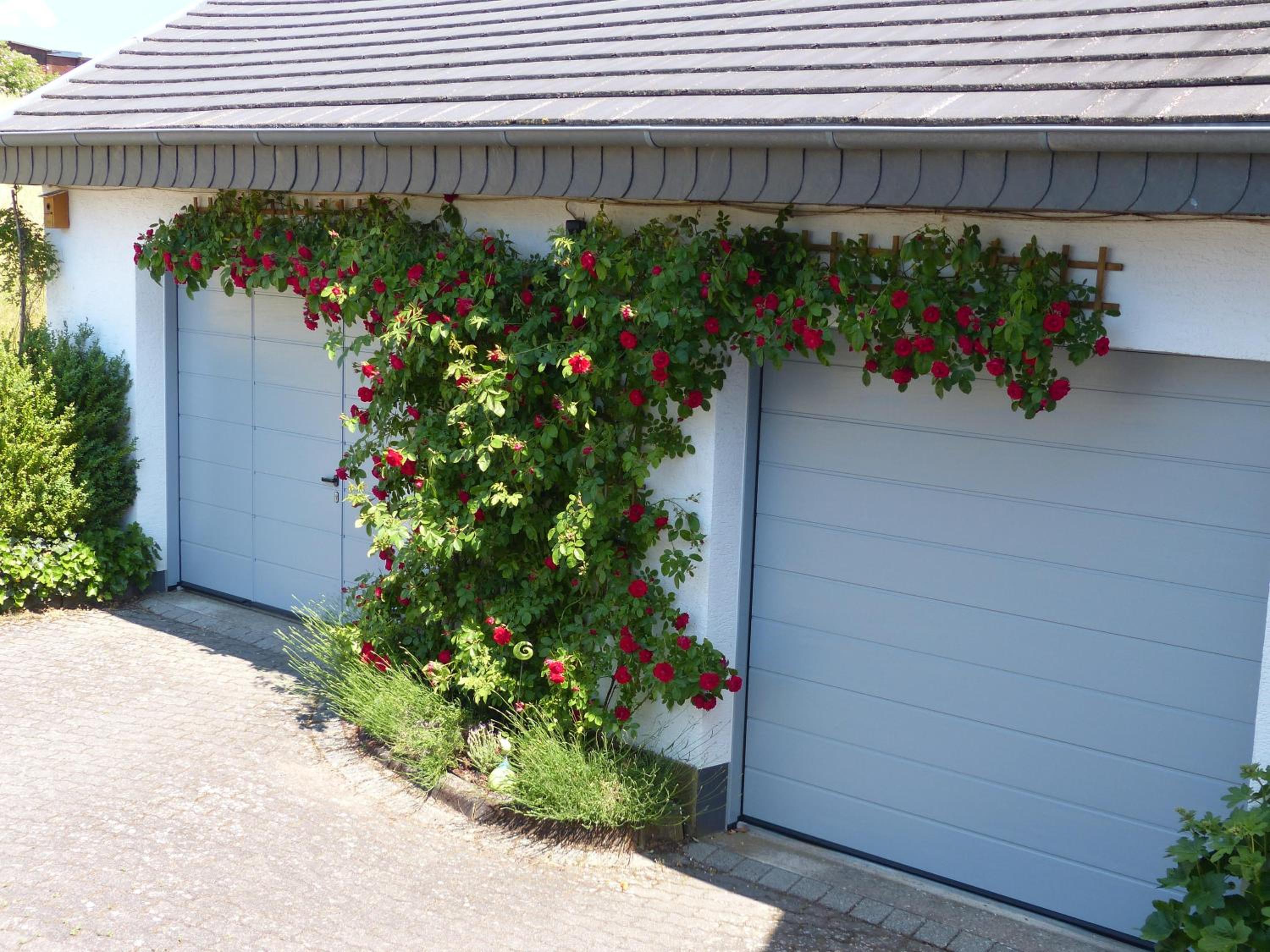 Ferienwohnung Eifelrose