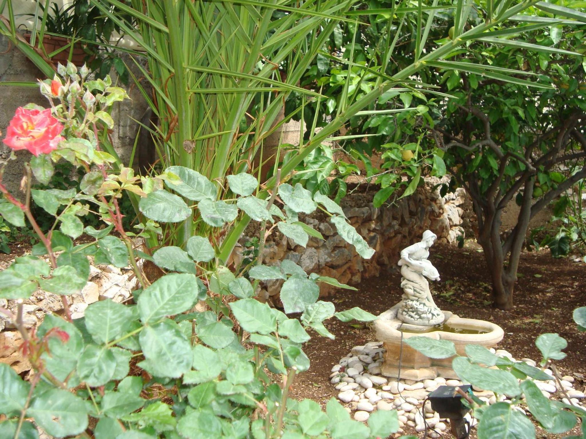 Photo 25