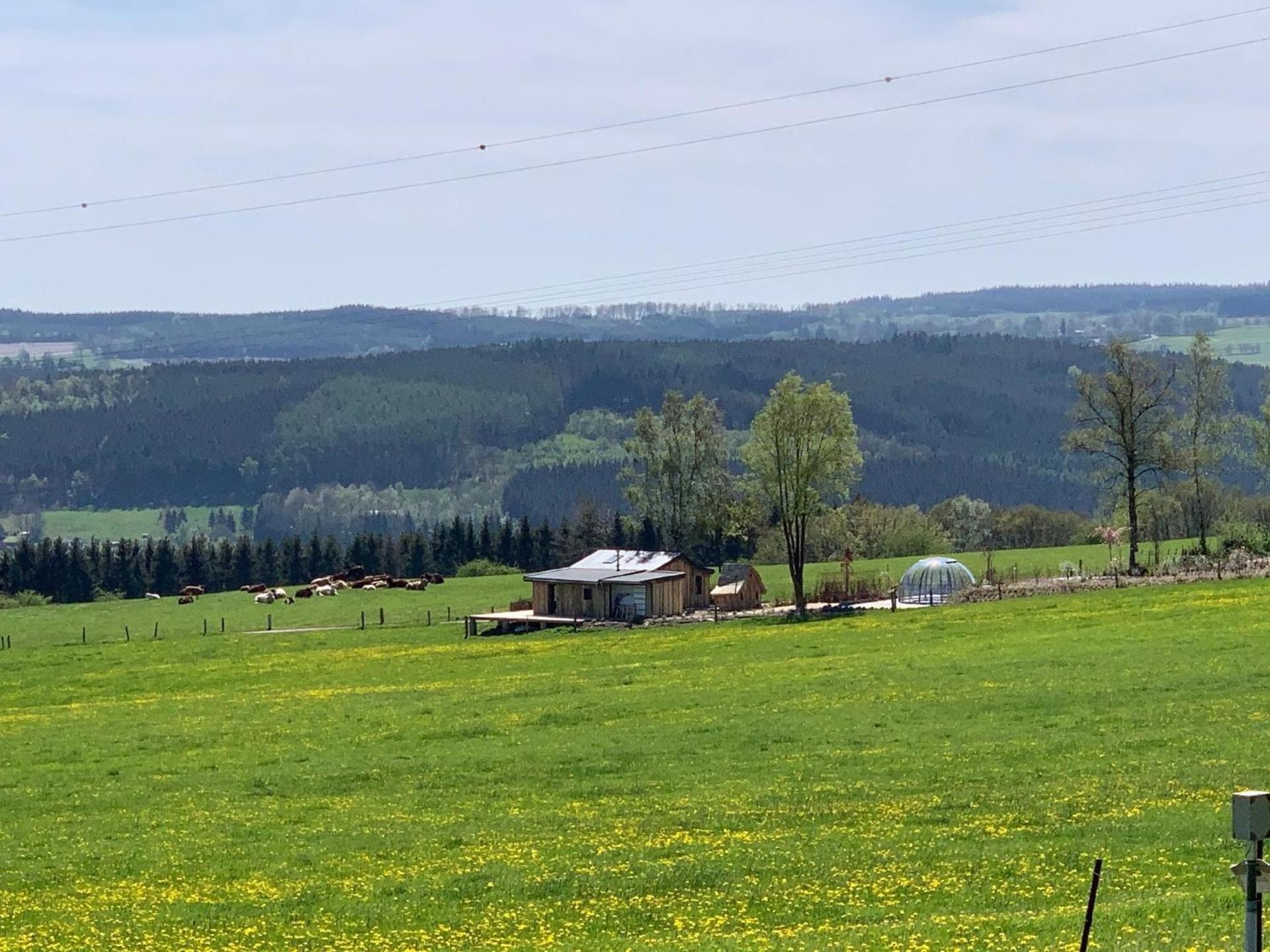 Ferienhaus mit Privatpool für 4 Personen ca 120 qm in Trois-Ponts, Wallonie Spa-Francorchamps und Umgebung