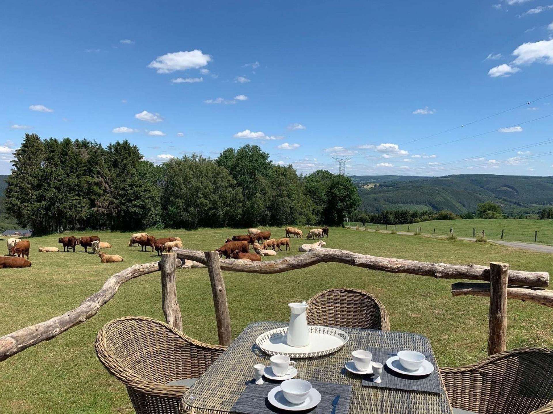 Ferienhaus mit Privatpool für 4 Personen ca 120 qm in Trois-Ponts, Wallonie Spa-Francorchamps und Umgebung