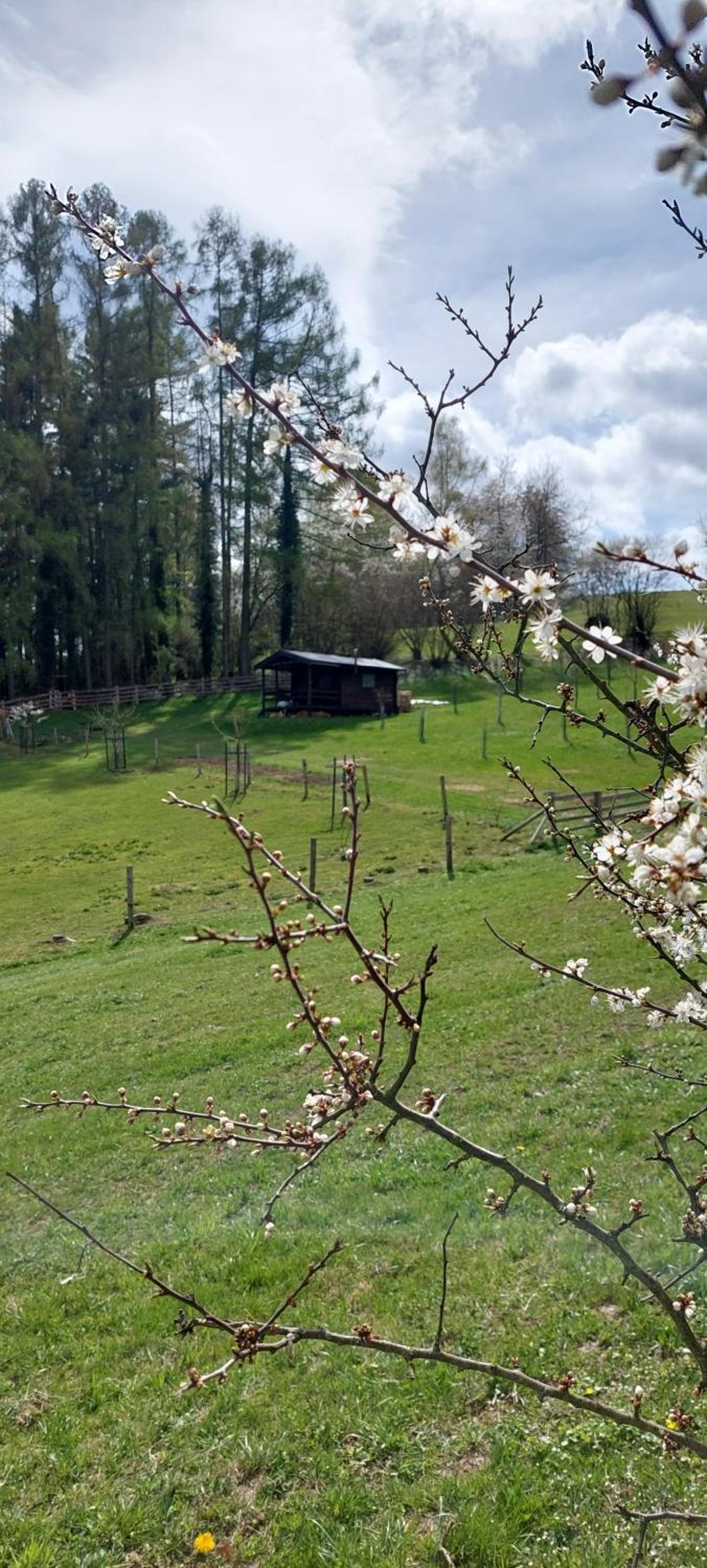 Chata na samotě, Šumava