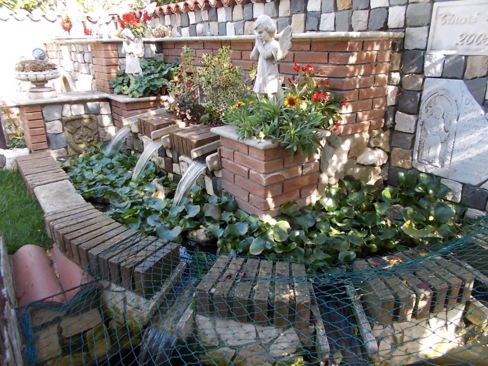 B&B Il Giardino Acquatico photo 4