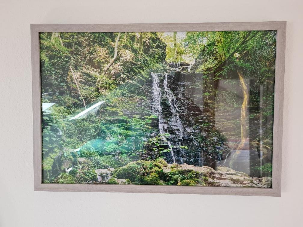Ferienhaus Finca de vida y luz