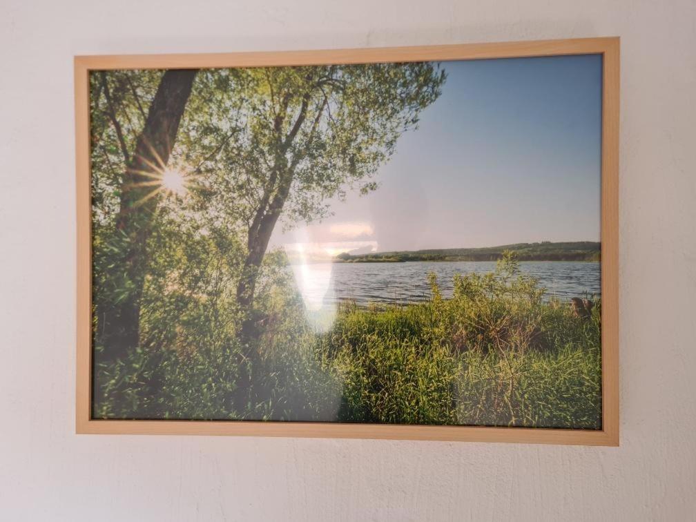Ferienhaus Finca de vida y luz
