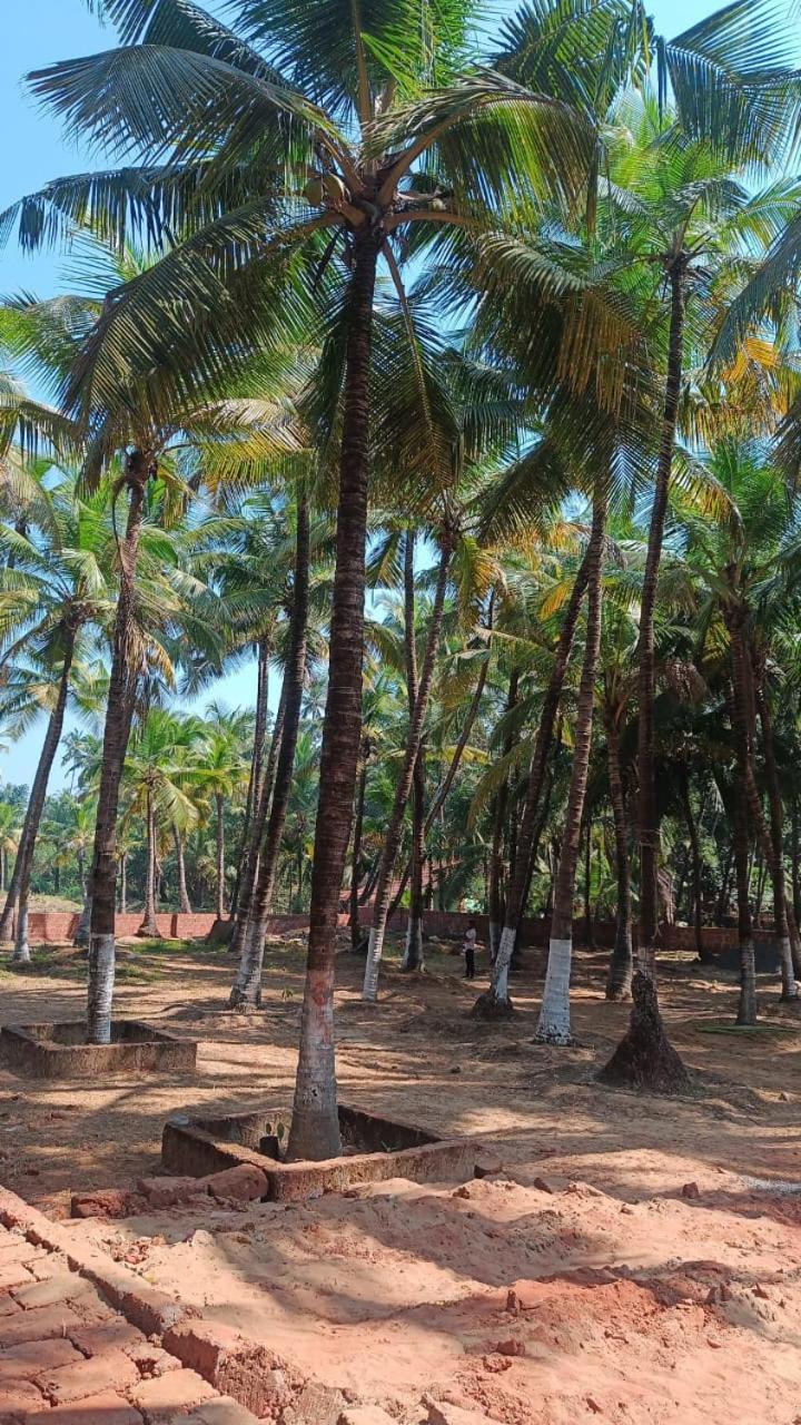 Coco Hut , Devbaug view 3