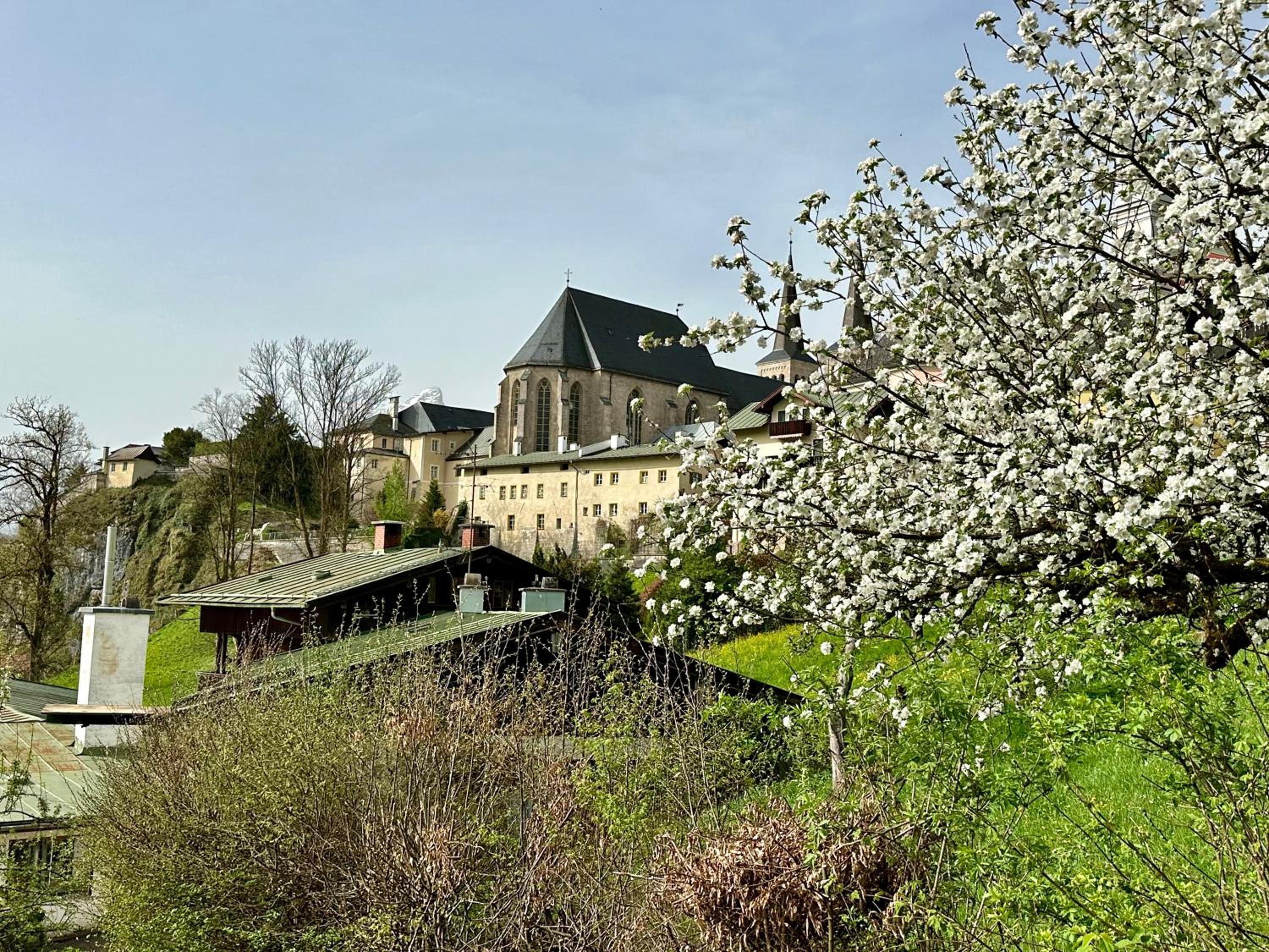 Chalet am Hasensprung view 2
