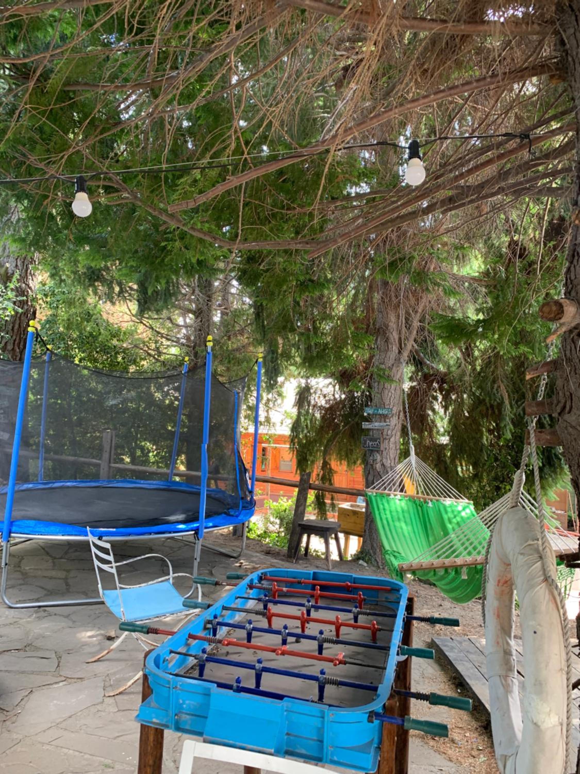 El viejo molino