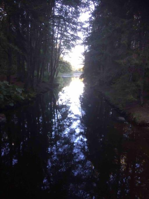 Photo 26
