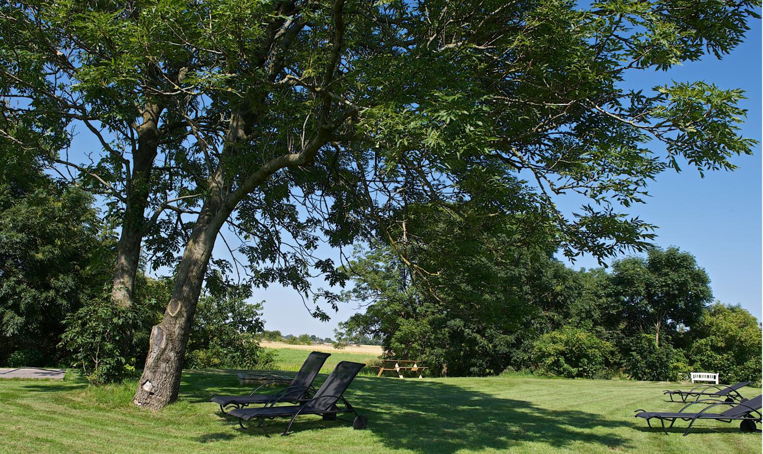 Myregaard B & B and Apartments