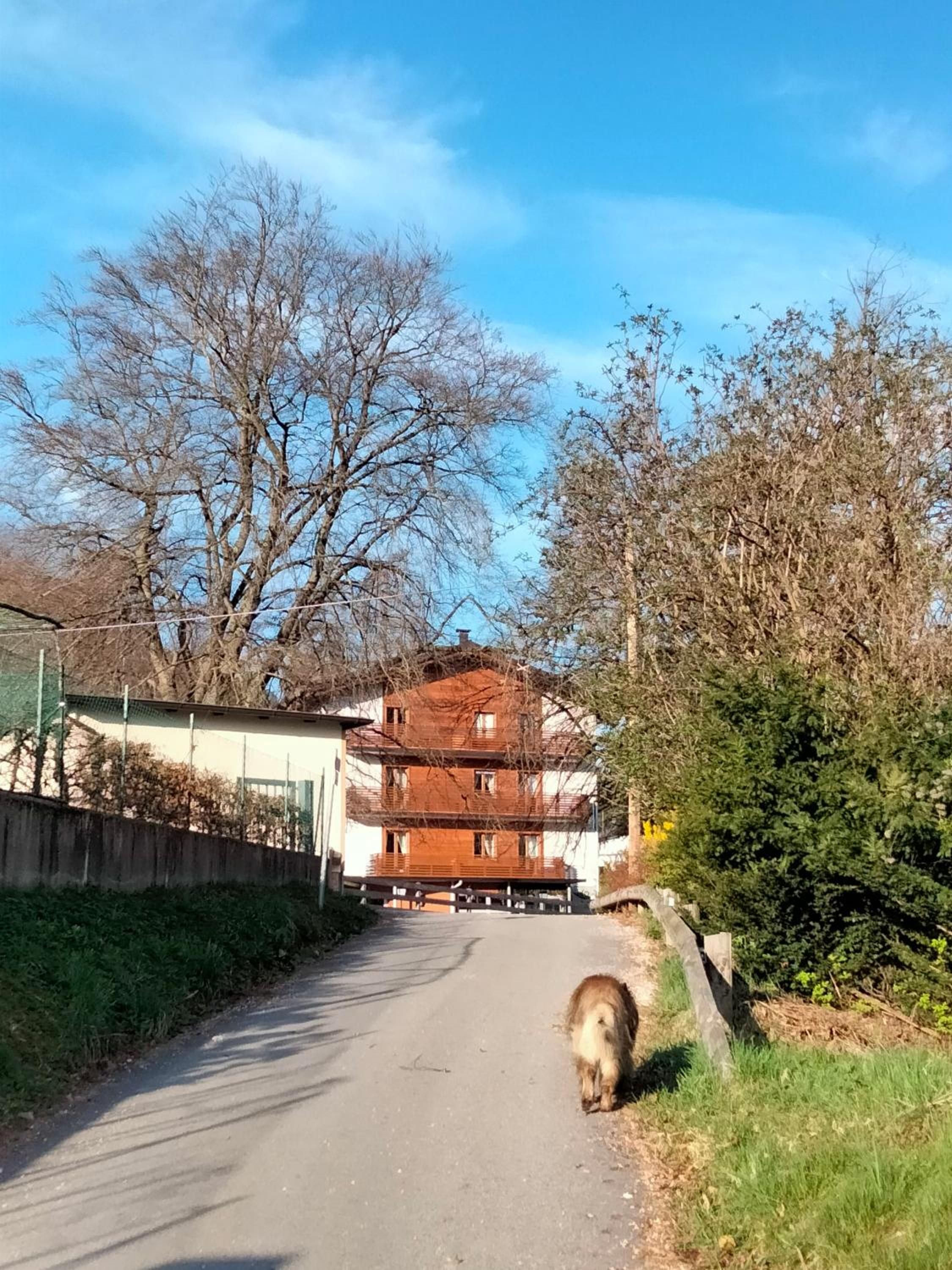 Nido del Faggio view 3