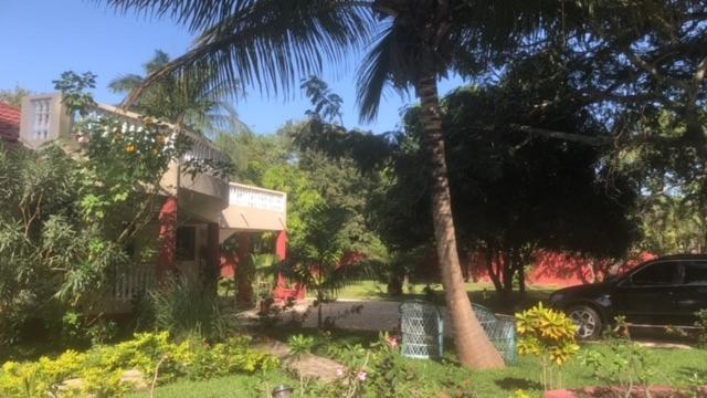 Heda House