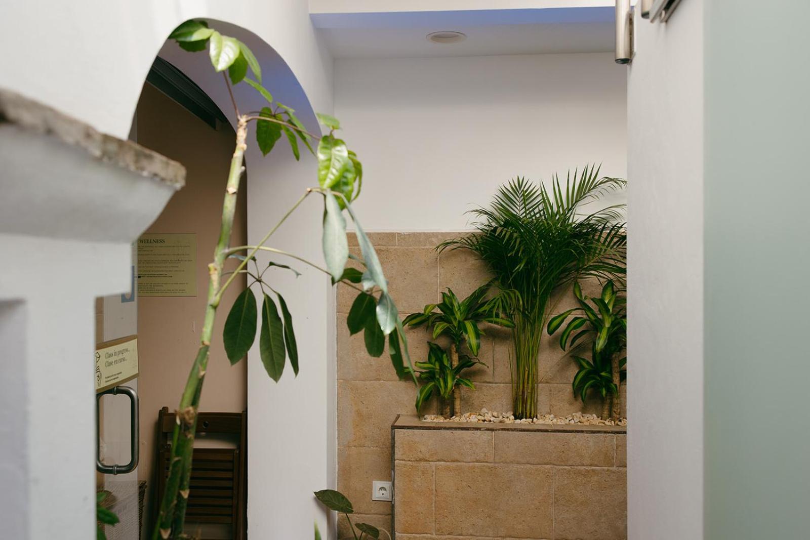 Casa Africa