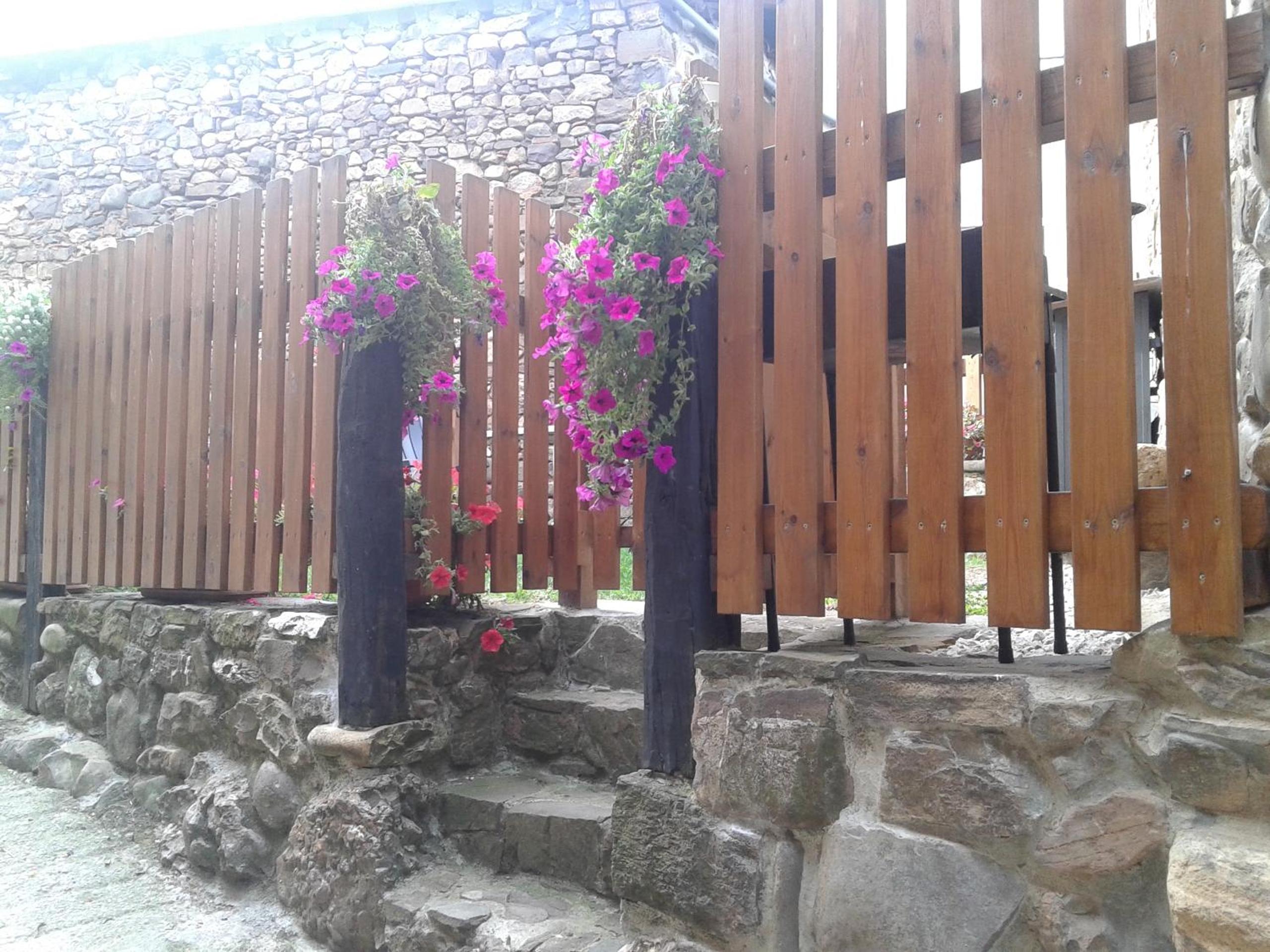 Photo 33