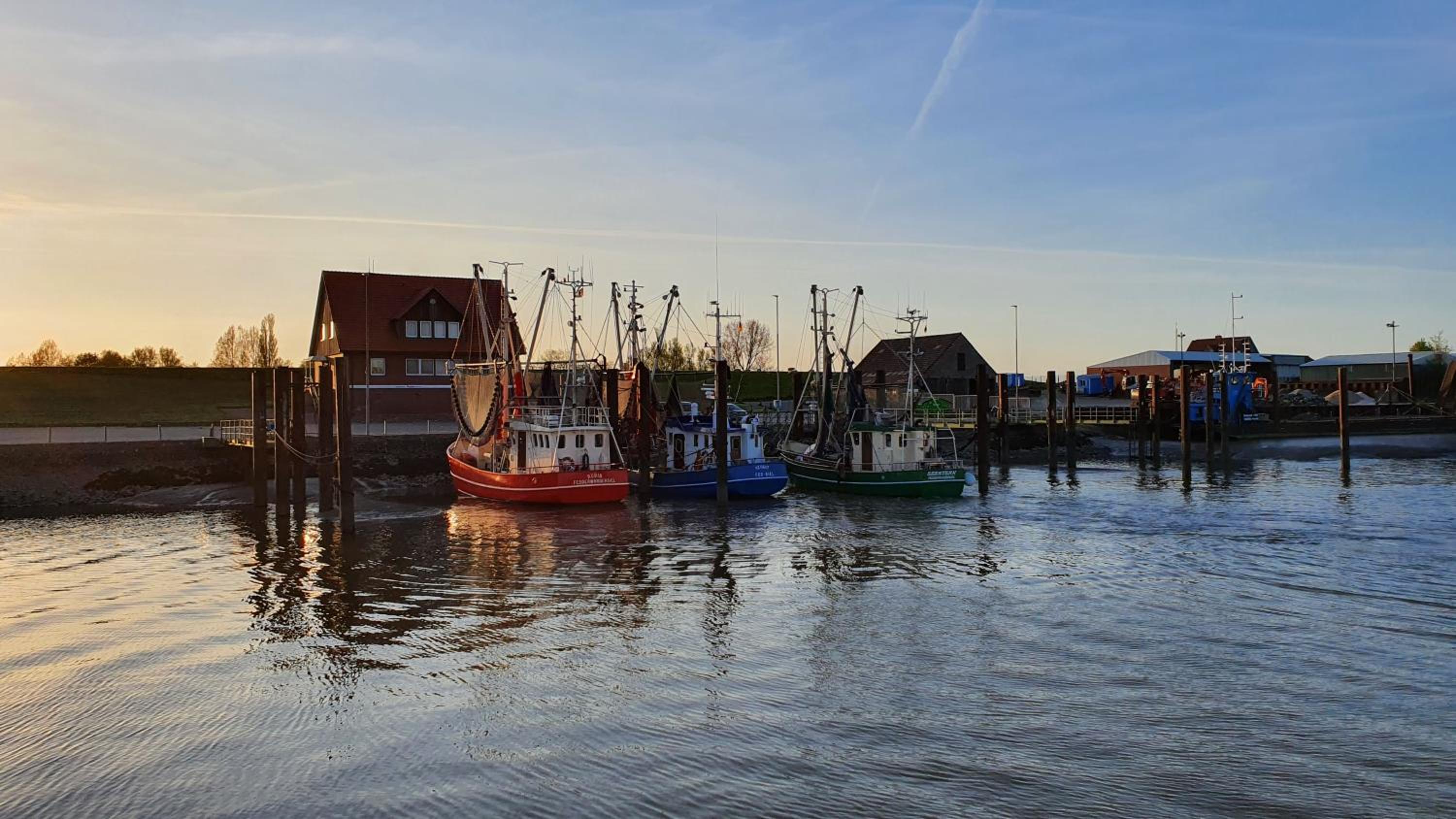 HAFEN ZWEI