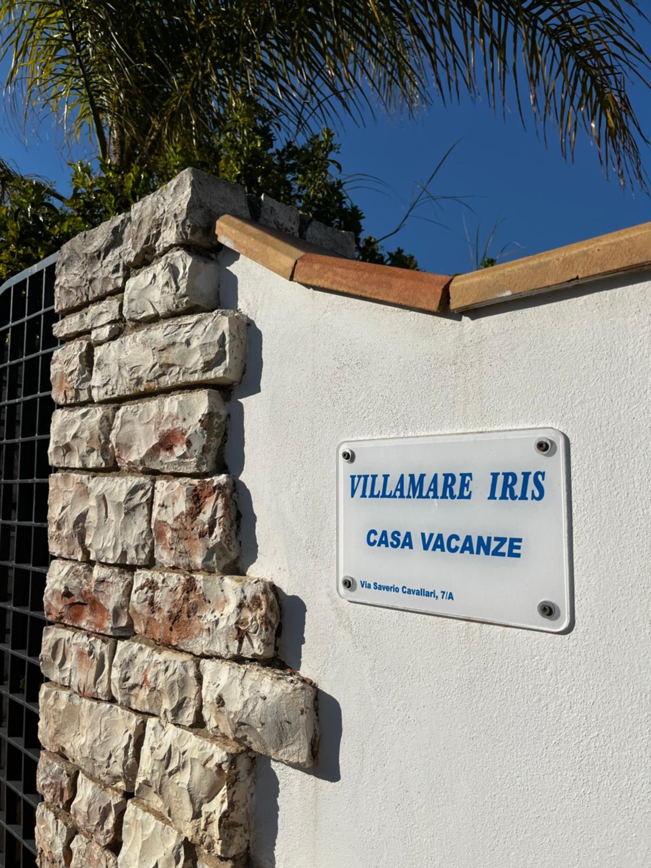Villamare Iris