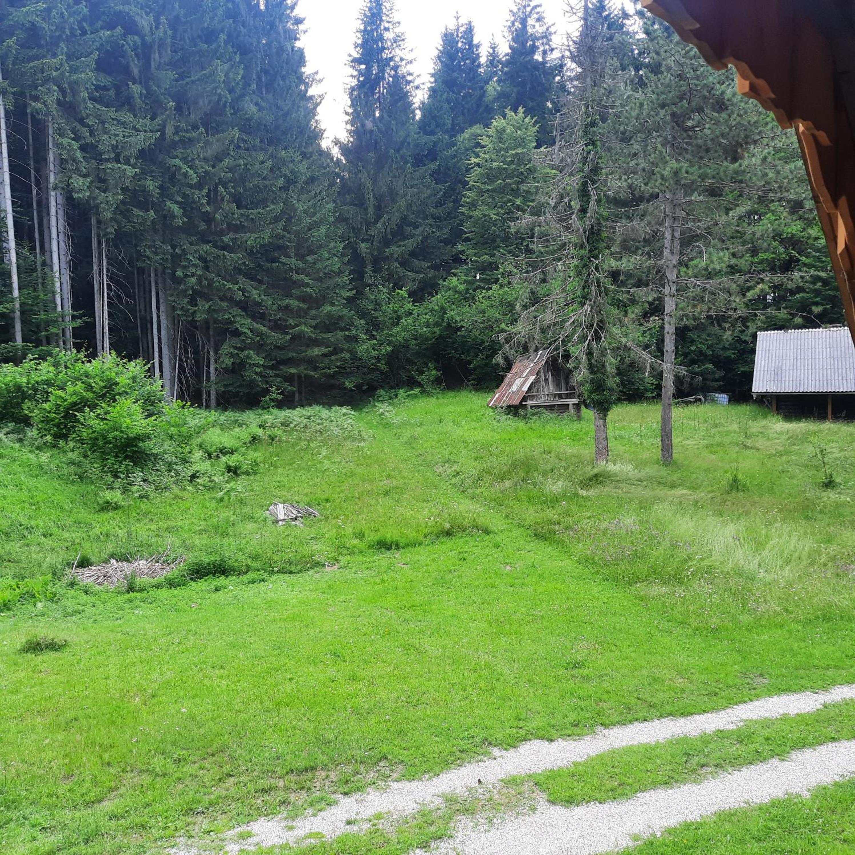Photo 21