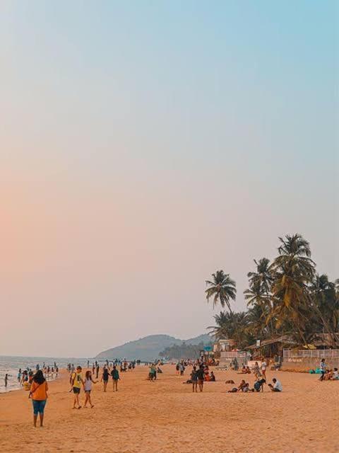 Calangute Beach Palms