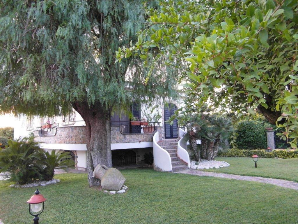 Photo 44