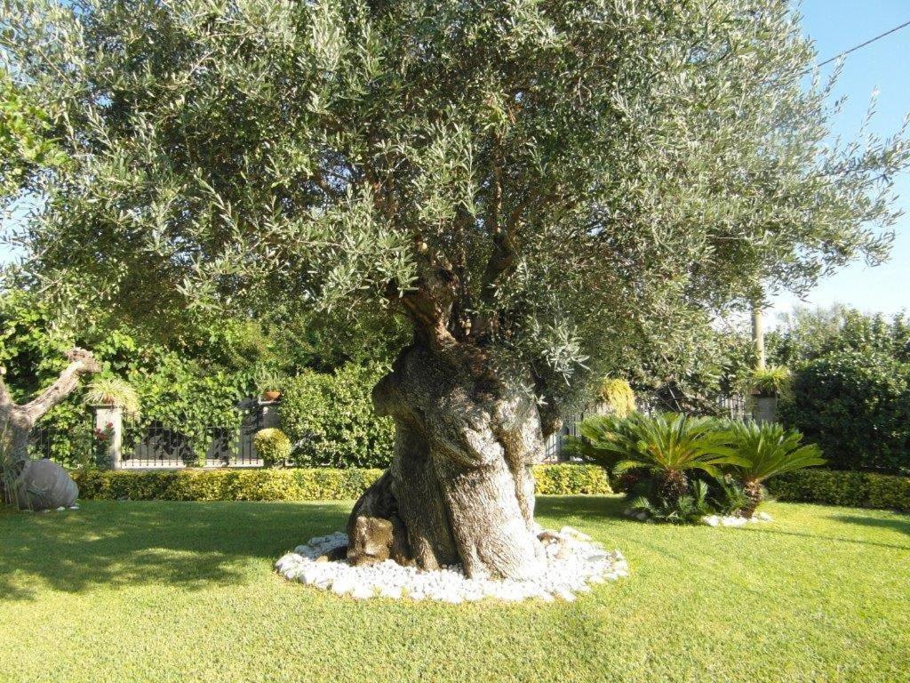 Photo 22