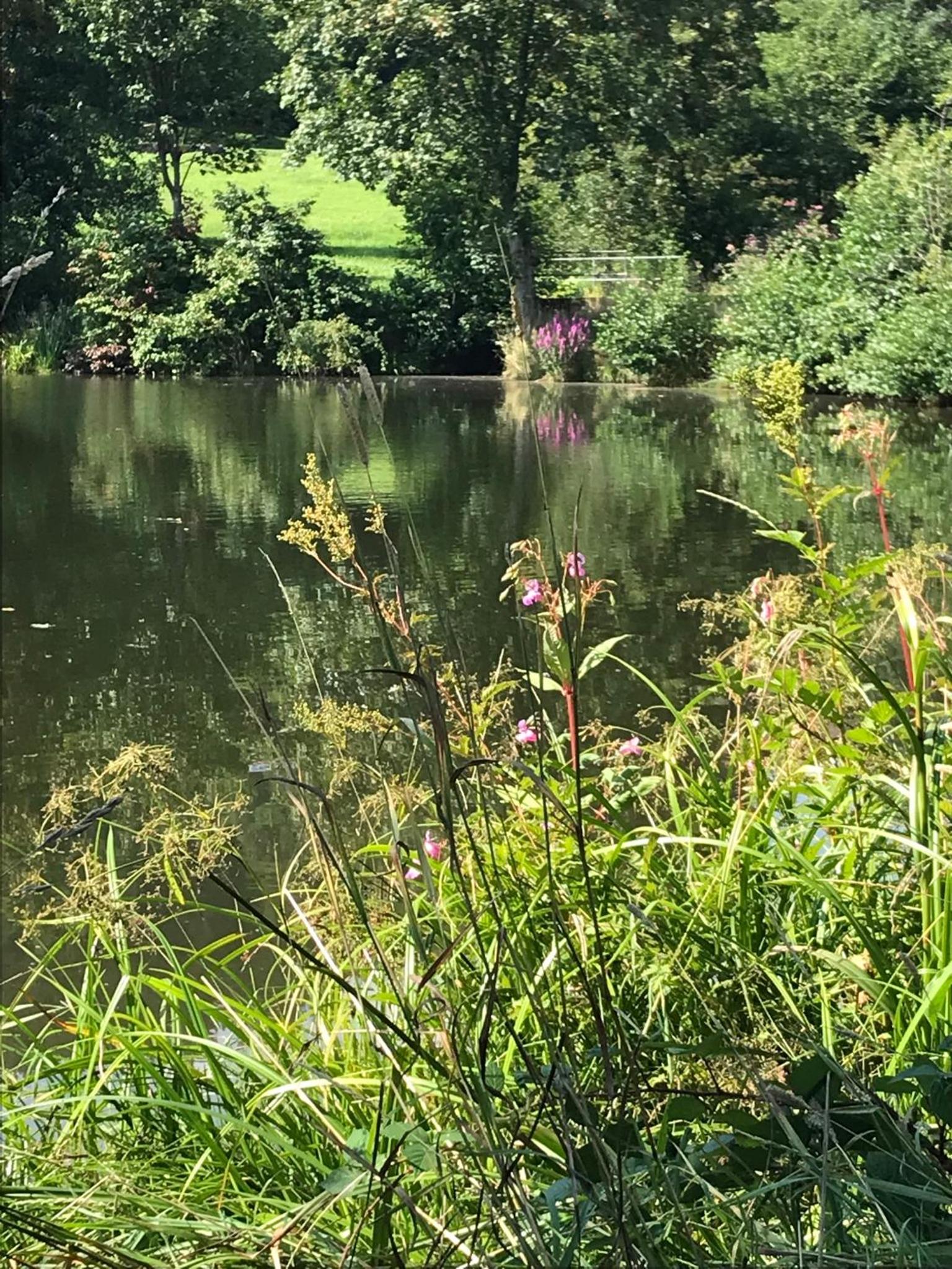 Ferienwohnung mit Schwimmbad und Gartenblick