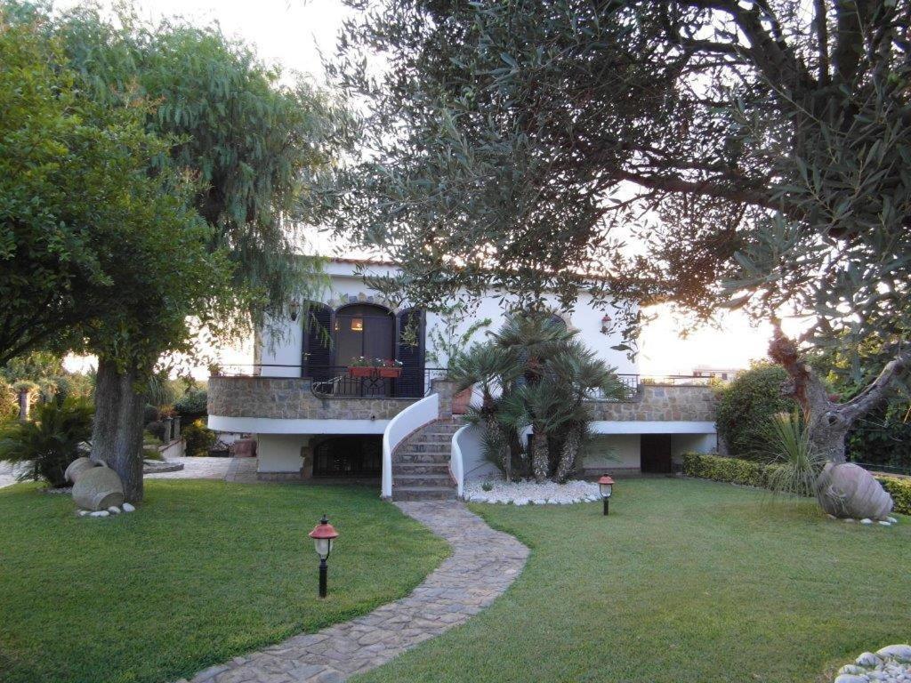 Photo 43
