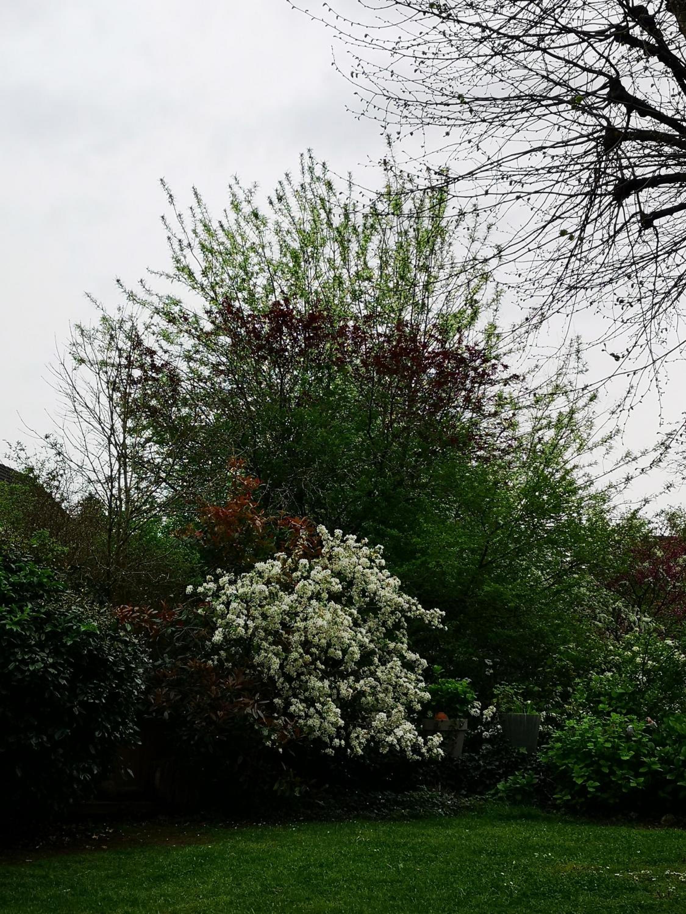 Villa le Cloky, photo 54