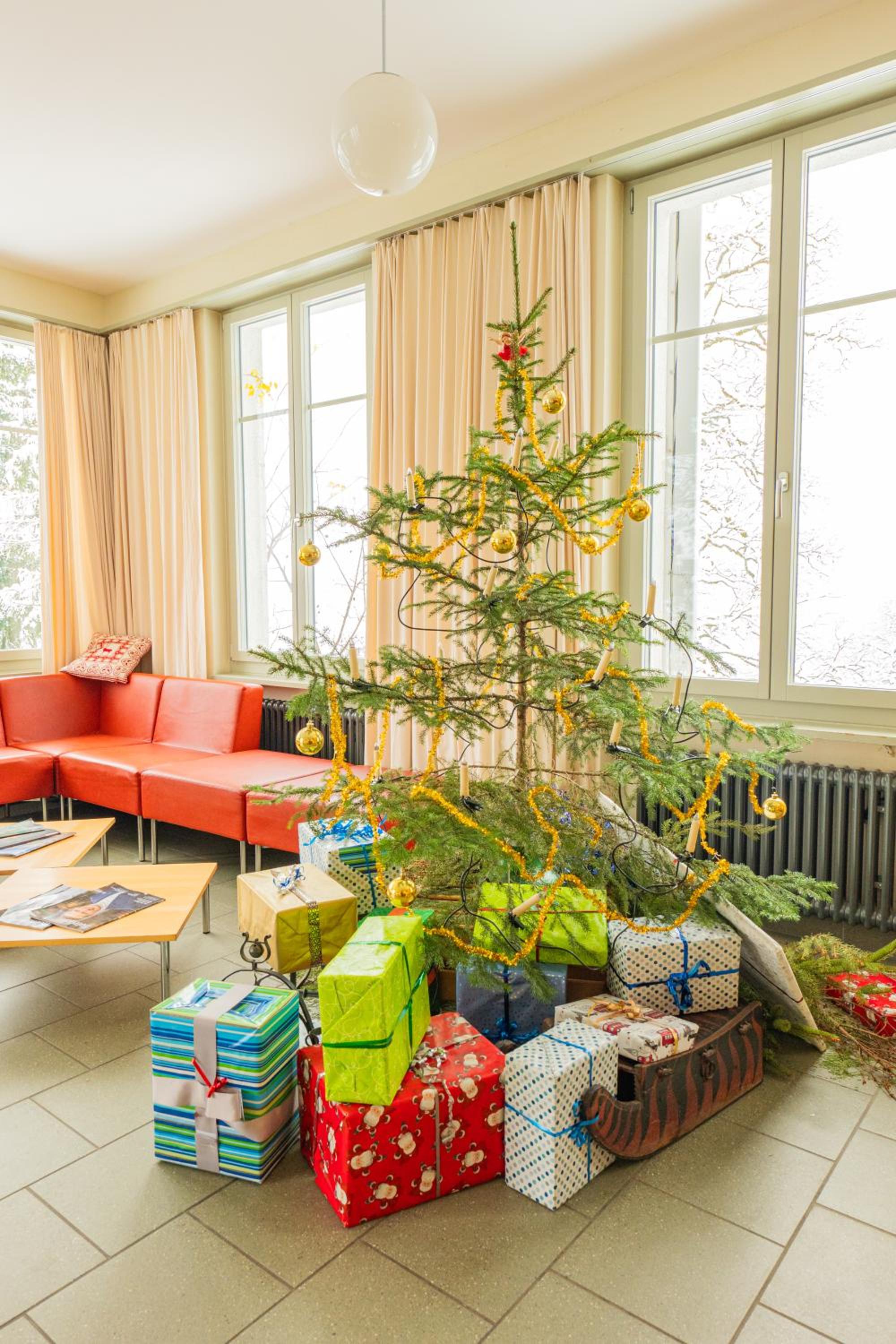 Grindelwald Youth Hostel